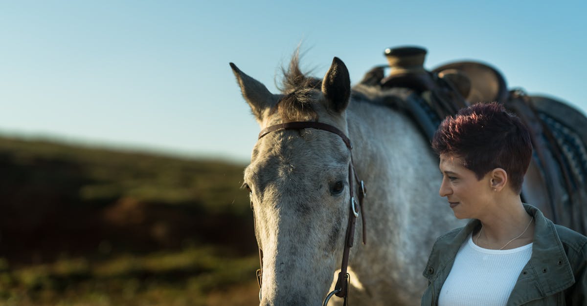 découvrez notre collection d'underskirts élégantes, conçues pour apporter volume et confort à vos tenues. parfaites pour toutes les occasions, ces sous-jupes sont l'accessoire indispensable pour sublimer votre style tout en garantissant une silhouette impeccable.