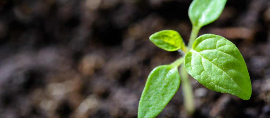 découvrez comment adopter des pratiques durables pour préserver l’environnement, améliorer votre qualité de vie et contribuer à un avenir responsable grâce à des conseils et solutions en matière de sustainability.