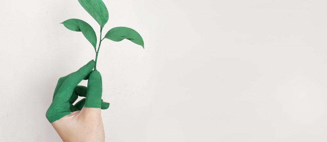 découvrez la mode durable : des vêtements éthiques et écologiques qui respectent l'environnement et valorisent le savoir-faire responsable. adoptez un style tendance et engagé pour un avenir plus vert.