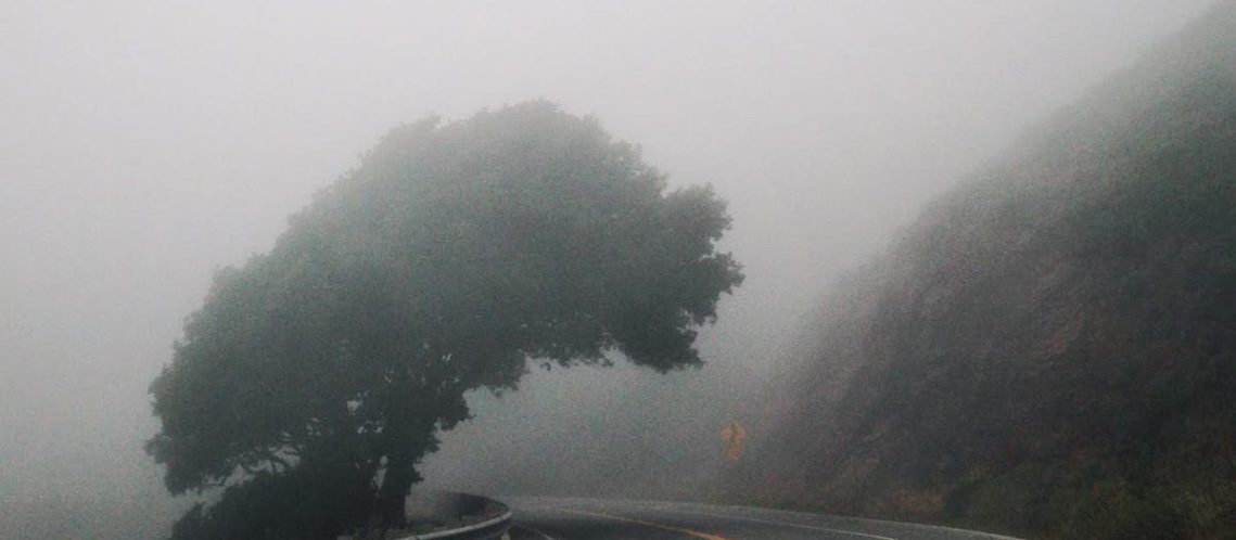 découvrez twity, la plateforme innovante qui connecte les utilisateurs, partage des actualités en temps réel et favorise l'interaction dynamique au sein d'une communauté engagée.