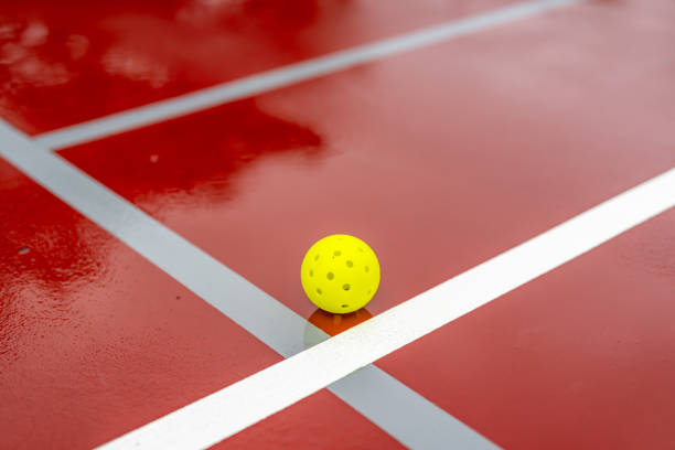 Constructeur court de pickleball